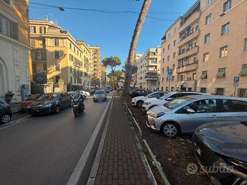 CORSO TRIESTE -Locale commerciale