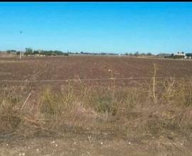 Terreno agricolo+casa+trivella Aereoporto Comiso