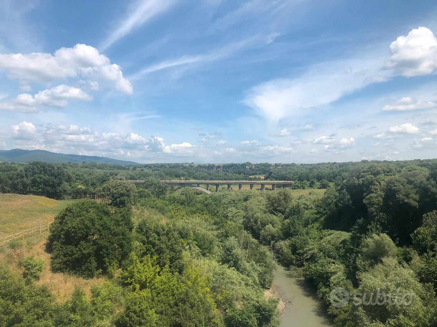 Terreno agricolo Vulci - Vista 2