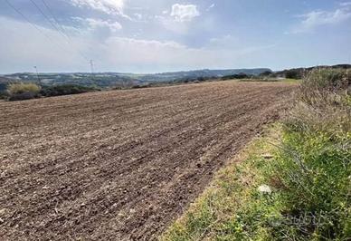 Terreno 1.5 h con casa e garage da ultimare