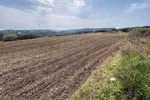 Terreno 1.5 h con casa e garage da ultimare
