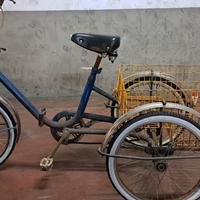 bicicletta a tre ruote 