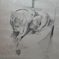 Pietro Capozucca Atto di violenza