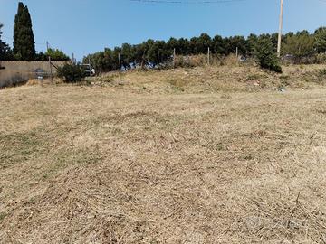 Terreno agricolo