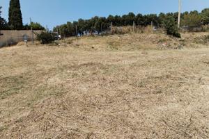 Terreno agricolo