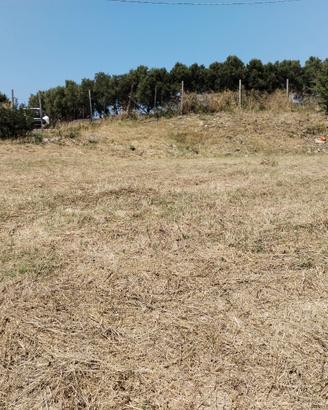 Terreno agricolo