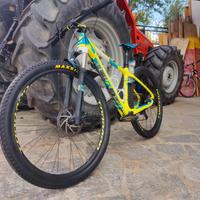 MTB Torpado Carbon Ribot C