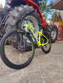 MTB Torpado Carbon Ribot C