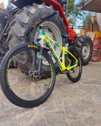 MTB Torpado Carbon Ribot C
