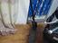 Immagine 6