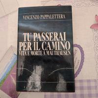 Vincenzo Pappalettera - Tu passerai per il camino