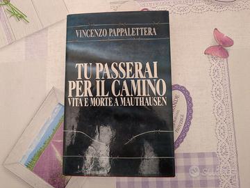 Vincenzo Pappalettera - Tu passerai per il camino
