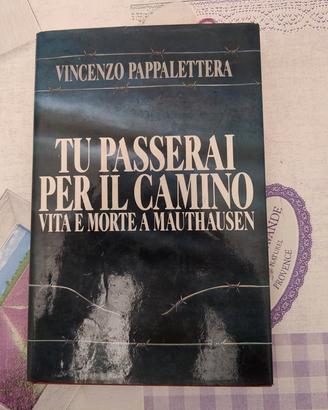 Vincenzo Pappalettera - Tu passerai per il camino