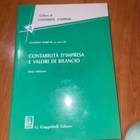 Contabilità d'impresa e valori di bilancio (NUOVO)