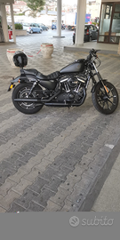 Harley davidson 883