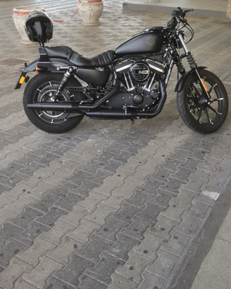 Harley davidson 883