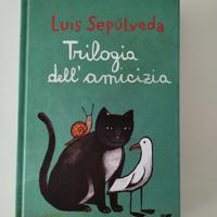 Trilogia dell'amicizia