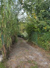 TER. AGRICOLO A MUGGIA