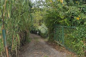 TER. AGRICOLO A MUGGIA