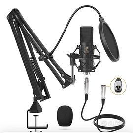 Microfono tonor bm700