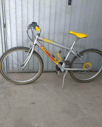 mountain ile 24' Bottecchia