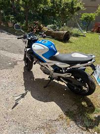 Suzuki SFV Gladius 650 - 2009