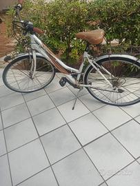 bicicletta