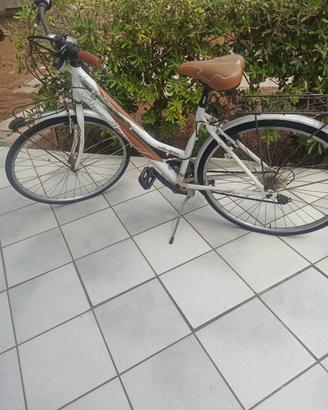 bicicletta