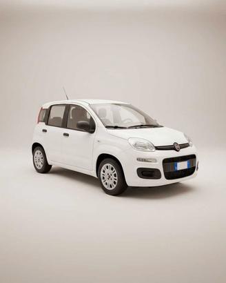 FIAT Panda 3ª serie - Panda 1.3 MJT S&S Easy