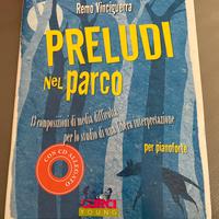 Preludi nel Parco, Remo Vinciguerra pianoforte