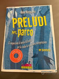 Preludi nel Parco, Remo Vinciguerra pianoforte