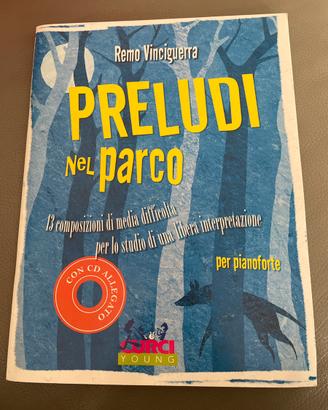 Preludi nel Parco, Remo Vinciguerra pianoforte