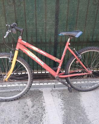 Mountain bike