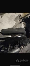 Motorino people
