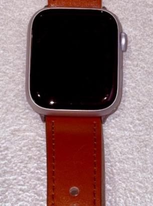 Apple Watch 9 - 45mm - Wifi - Silver