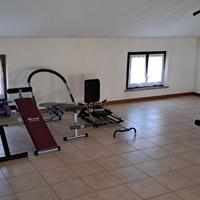 Set Palestra