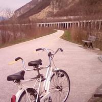 bici tandem 