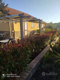 Settembre a Pioppi : 54 sagra del pesce- 19-20-21