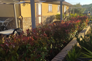 Settembre a Pioppi : 54 sagra del pesce- 19-20-21