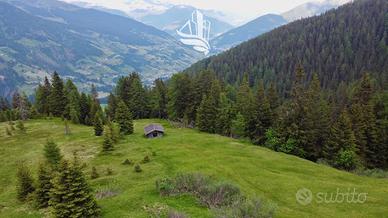 Ridanna: Baita con terreno in posizione montana tr