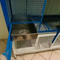 tre gabbie di degenza per gatti