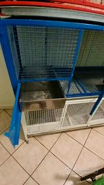 tre gabbie di degenza per gatti