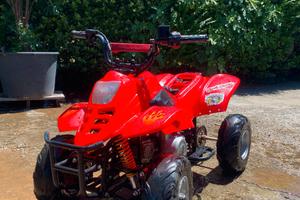 Miniquad 110cc