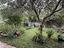 Immagine 25