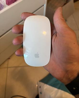 Mouse apple