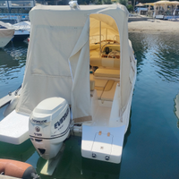 Motore Evinrude 115 E-TEC