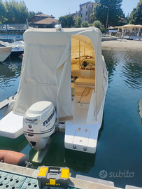 Motore Evinrude 115 E-TEC