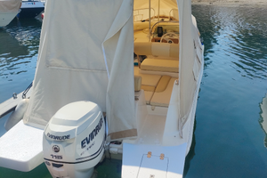 Motore Evinrude 115 E-TEC