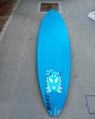 Tavola da Windsurf 