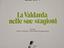 Immagine 3